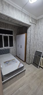 Зенит, Альфарганус 1-этаж!