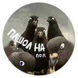 Пашол на пол! | Точка импро
