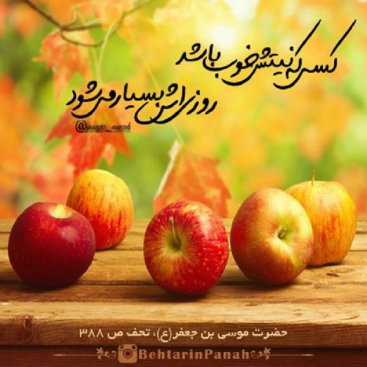 رنگت روخدااااایی کن: #سوره_درمانی #جهت_وسعت_رزق✍🏻بین نماز ظهر و عصر باخواندن بیست و یڪ مرتبہ سوره ےفیل از عالم غیب رزق و روزے میرسدبطوریڪہ ف