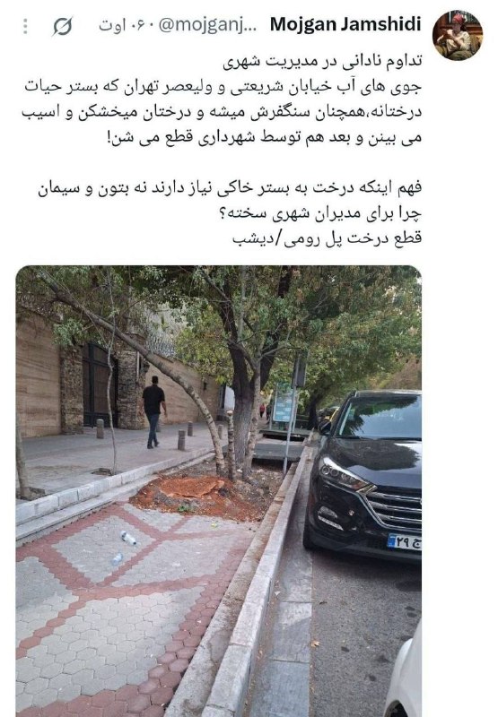 هواشناسی ایران: مژگان جمشیدی فعال محیط زیستجویهای آب خیابانهای تهران همچنان سنگفرش میشوند، درختان خشک میشوند و بعد هم توسط شهرداری ق