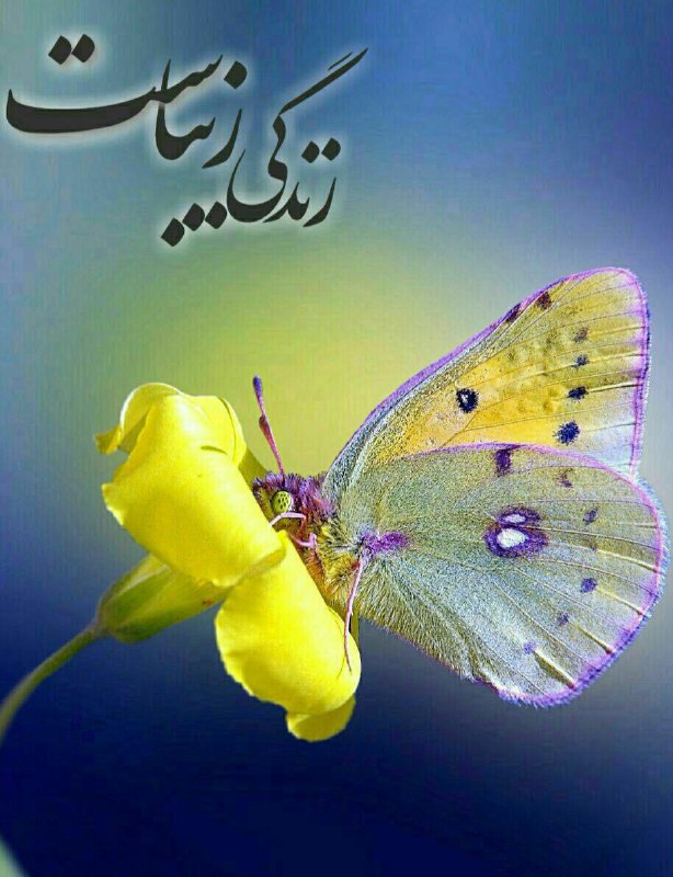 استغفار: دردناکترین محبتهاآنهایی است که با ریا،تزویر و تظاهر آمیخته استولذت بخش ترینمحبتهاآنهایی هستندکه درعین کوچک بودن با خلوص