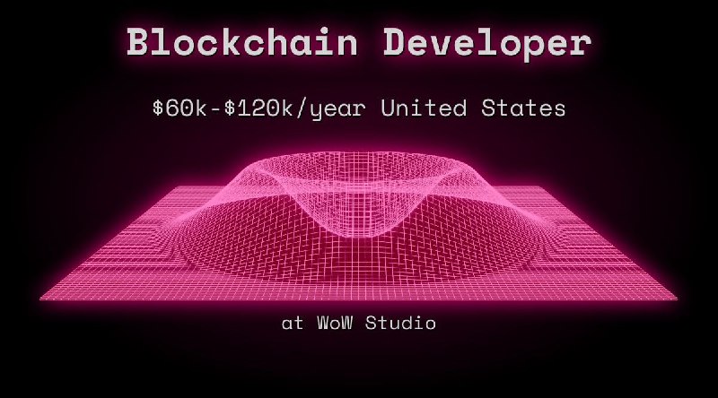 Web3 Blockchain Developer $60k - $120k United States at WoW Studio