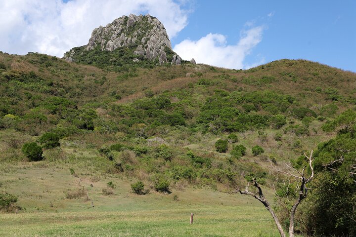 瑯嶠沒有冬天