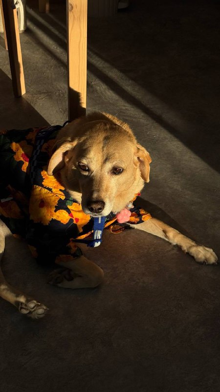 В гостях в новой мастерской у любимого бренда керамики POVEDAIIНикогда, до встречи с этим брендом, не интересовалась керамикой. Тем более, не коллекционировала. Результат сегодняшнего дня — обсессия 🫢💘В гостях в новой мастерской у любимого бренда керамики POVEDAIIНикогда, до встречи с этим брендом, не интересовалась керамикой. Тем более, не коллекционировала. Результат сегодняшнего дня — обсессия 🫢💘