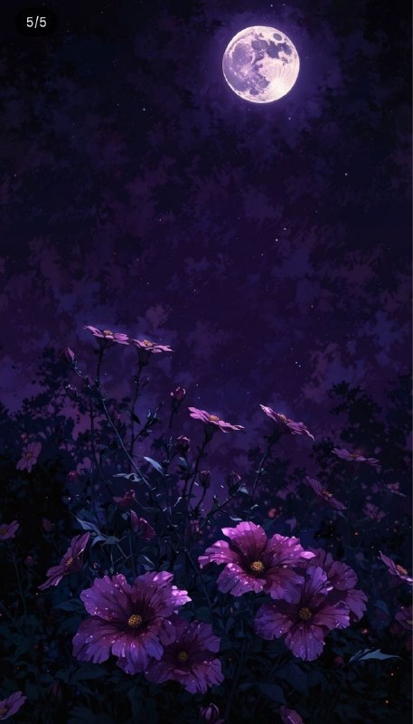 دنیـاے تـرانـه: سڵاو هاوڕێیانی خۆشەویست ئێوارەتان بەخێر ..╭━🥀*🌹✹⊱━═━╮🌼 @Taranakurd 🌼╰━═━🥀*🌷⊱━━╯سڵاو هاوڕێیانی خۆشەویست ئێوارەتان بەخێر .