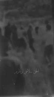 אני לא אכנע, לא אכנע, ונגדך, המדינה שלי, לא אתפשר 💔