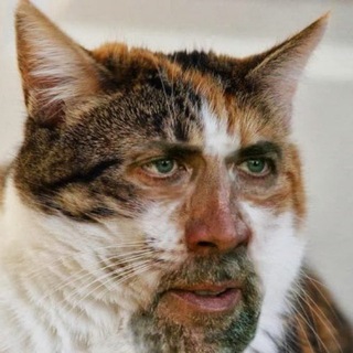 Telegram profile photo for Философия Говна