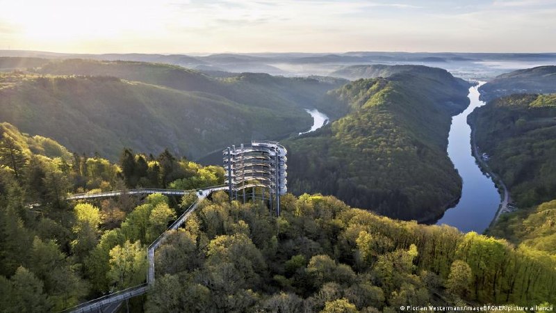 Топ маршрутов по высотным лесным тропам ГерманииЭкологические небесные тропы - так в Германии называют лесные прогулочные маршруты, которые проложены на высоте в несколько десятков метров. Большинство из них открыты круглый год. Мы собрали для вас пять сам