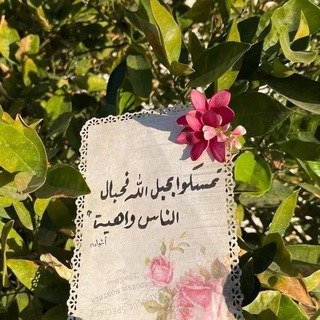 🌿الطريق الي الجنه 🎋🎋