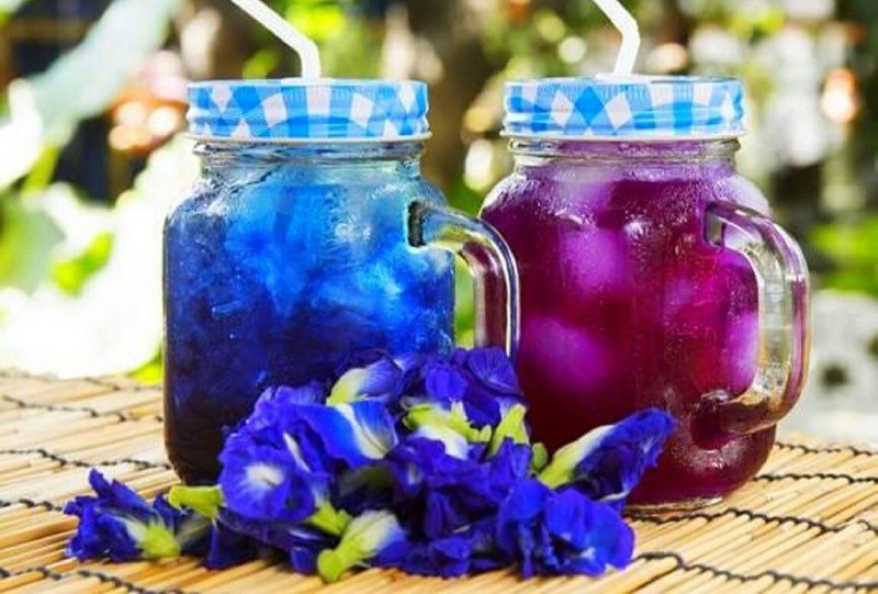 🍃طب گیاهی و سنتی🍃: 🔴گل گاو زبان معجزه دارويی✅دارا بودن مقادير زياد كلسيم و پتاسيم آرامش بخش ✅خواص ضد سرطان به دليل داشتن آلكوالوئيد ✅ضد حسا