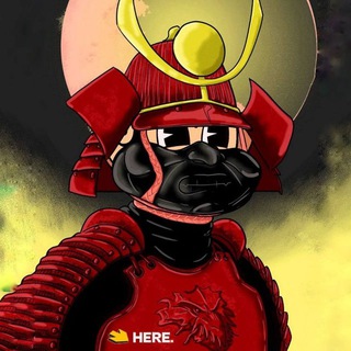 Pasha | HOT wallet 🔥 Telegram Group Link