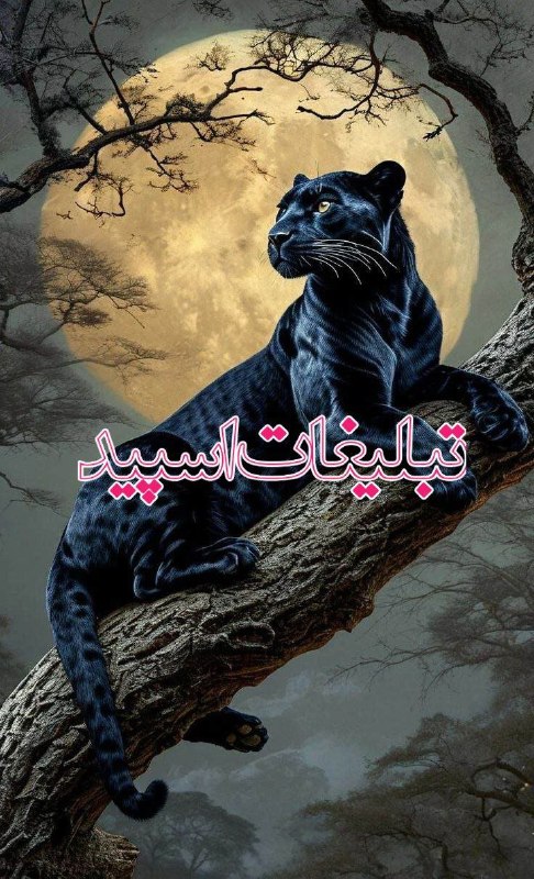 لینکدونی و گروه چت اصفهان: ❶﹚ نام : محفل خوبان💕❷﹚ نو؏ تبلیغات : #telegram❸﹚ توضیحات :ويس كال🔊 𝟤𝟦 ساعته🎧دربزرگترین گروه تلگرامی👑همراه بازي هاي هيجان