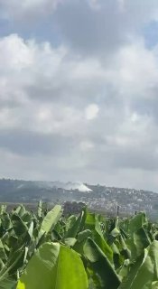🚨האויב מטיל פצצות תבערה על העיירה אל-מנצורי