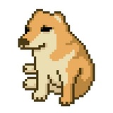 CashDog