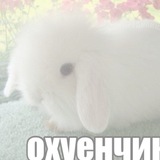 ЗАКРЫТО 𝒶zhalt 𝓁oveplace
