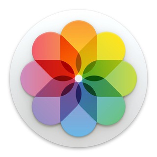 Обои для iPhone Telegram Group Link