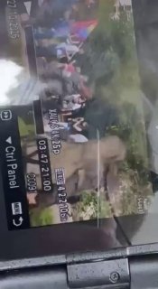 המפלגה הדמוקרטית: אדם נעצר בחשד שניסה לדקור את ראש המפלגה יאיר גולן לאחר שנפלה סכין גדולה מבגדיו.