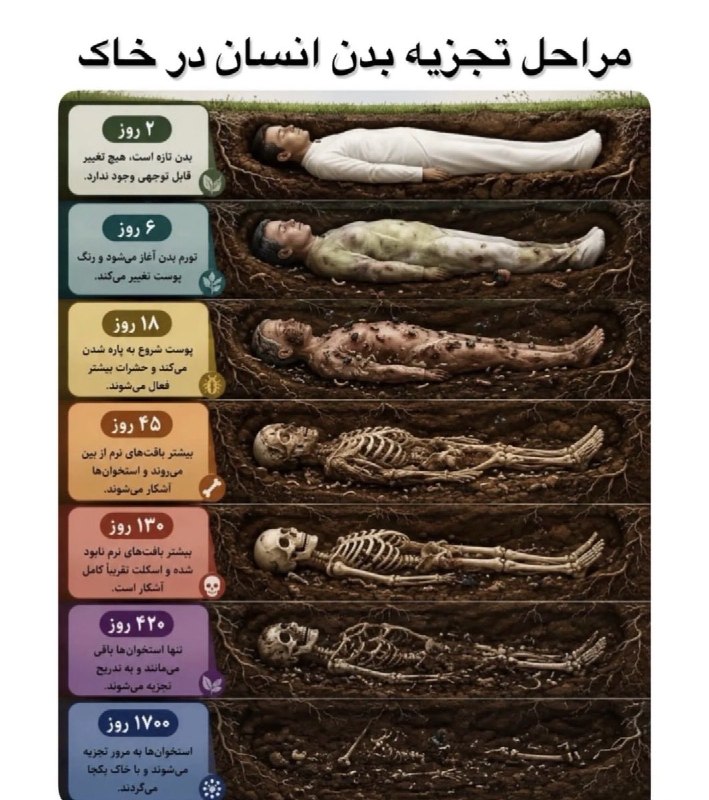 SUT Twitter: یعنی همه ی انسان ها میدونند این آخرشه و انقدر بهم بدی میکنند؟ :)×Mobina×@sut_tw