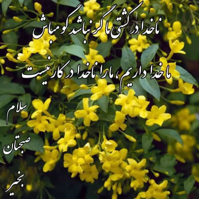 زواره نیوز: ☀️ امروز چهارشنبه ۲۸ مرداد ۱۴۰۵🌙 ۶ ربیع الاول ۱۴۴۸🎄 ۱۹ اوت ۲۰۲۶🔸ذکر روز : یا حی یا قیوم (۱۰۰مرتبه)💠‌️‌‌‌‌‌‌‌‌‌‌‌️‌‌‌‌‌‌‌