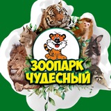 Зоопарк «Чудесный» / Уссурийск-Приморский край .