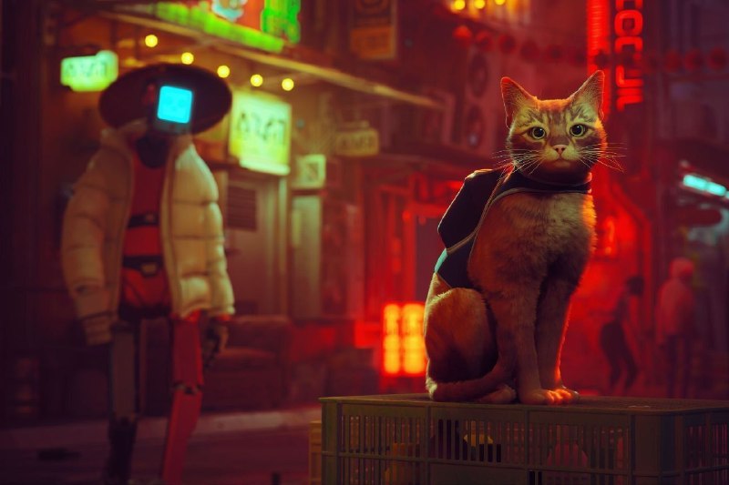 Master_Game: ✔️ظرفیت دوم✔️ps5🎮🌐 Stray 🌐✅ موجود شد ✅💥 قیمت فقط:1.400 💥✅ تحویل فوری ✅💯 پشتیبانی و گارانتی کامل 💯✈️@master_gameshop
