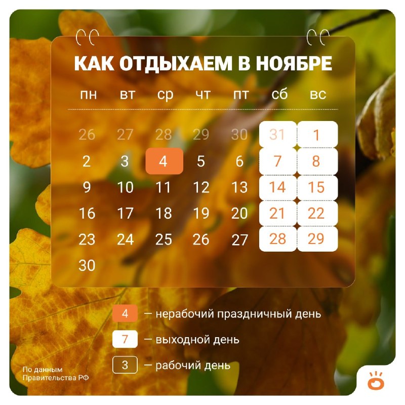 מתכוננים להירגע! בשבוע הבא נהיה פתוחים רק 4 ימים. נכון, יום החופש חל ביום רביעי - ב-4 בנובמבר נחגוג את יום…