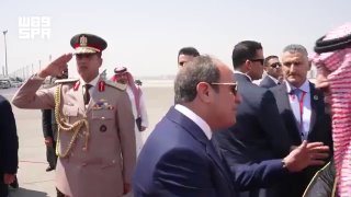 Saudi Crown Prince Mohammed bin Salman meets Egyptian President al-Sisi in Egypt.