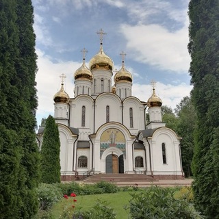 Telegram profile photo for Наше Подмосковье