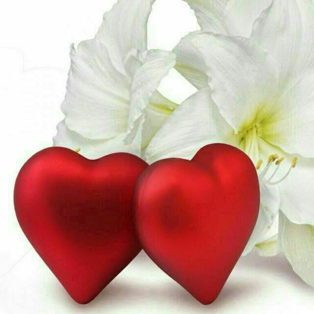 مورفین: ❤️هیچ نقطه از دنیا،❤️زیبا و آرام تر از قلب هایی❤️که خالی از کینه باشد، نیست