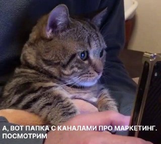 На сколько каналов в Телеграме вы подписаны? ❓Когда каналов стало слишком много, мы уходим либо к топам, либо к друзьям. Но фильтруя всё остальное, мы рискуем отсечь бриллианты.А ведь именно в каналах живут ваши будущие коллабы, инсайты и близкие по духу л
