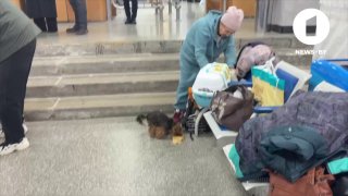 יש מספיק אוכל וטיפול לכולם: בגומל סיפקו לתושבי אלשקי וחיות המחמד שלהם כל מה שהם צריכים. בלארוסים מספקים את…
