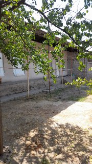 House for sale 7 sotok