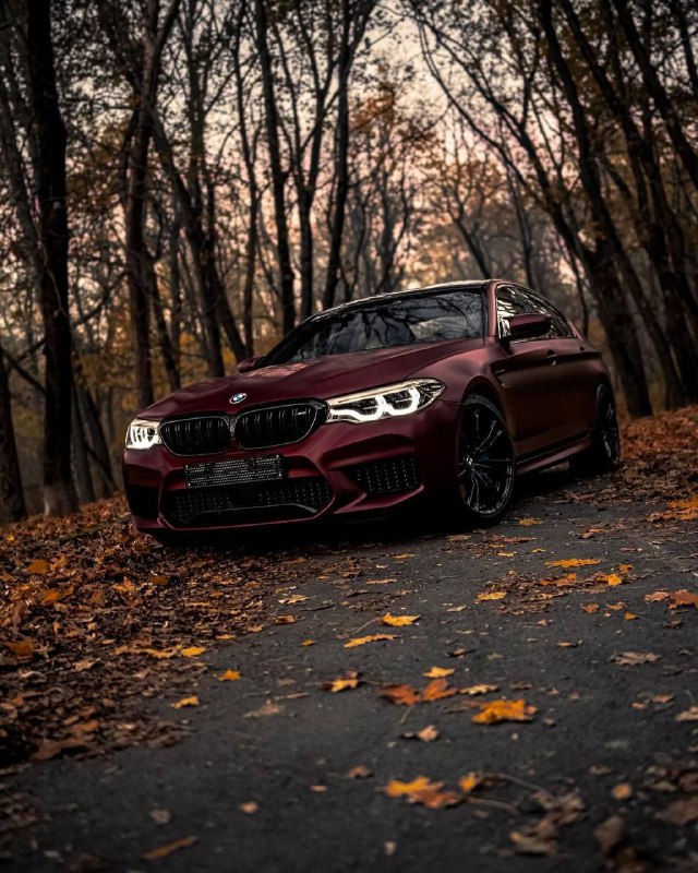 BMW M5 F90