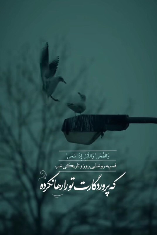 😍متن های خاص خدا😍: قسم به روشنایی روز و تاریکی شبکه پروردگارت تو را رها نکرده@khodaya_asheghtam