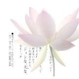 月彩.Aya_ya ꔫ☔️