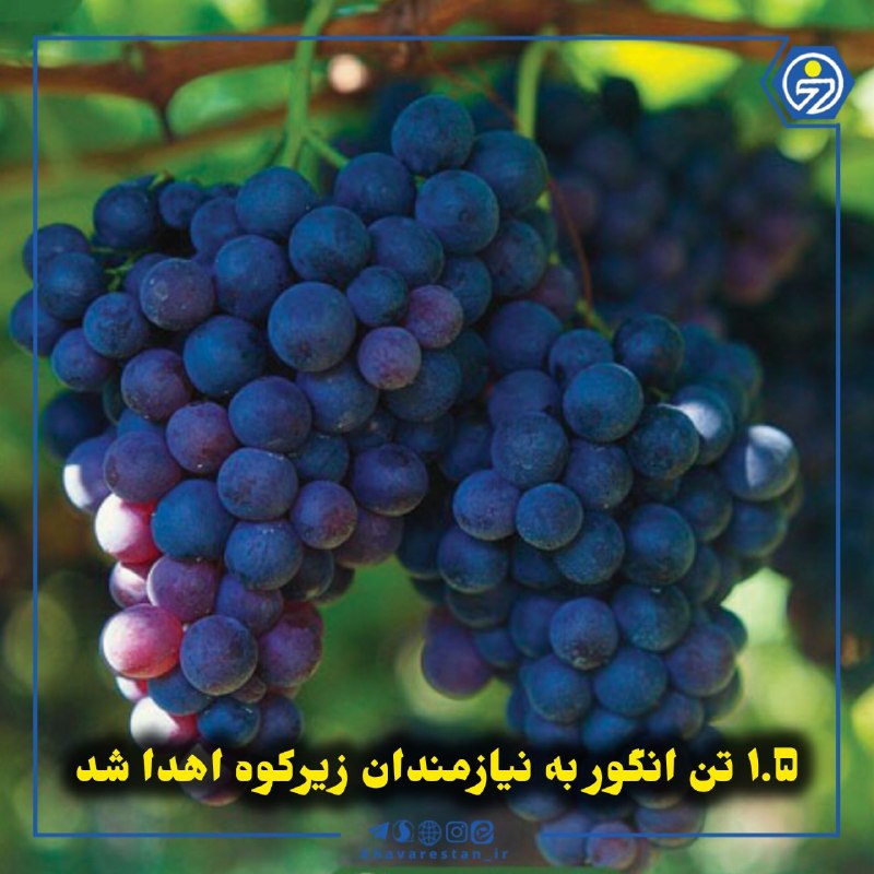 خاورستان: 💠۱.۵ تن انگور به نیازمندان زیرکوه اهدا شدکشاورزان روستای محمدآباد شهرستان زیرکوه در اقدامی خداپسندانه، بیش از یک و نیم ت