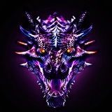DRAGON VORTEX