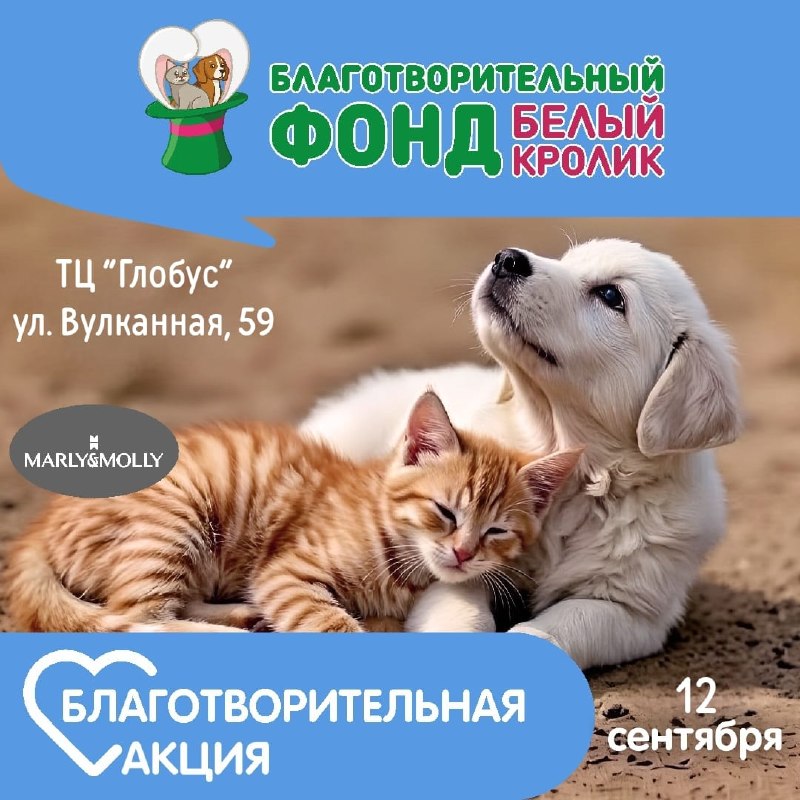 12 сентября в зоомаркете "Белый кролик",...