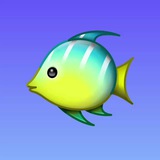 Arseniy Ivanov Design Contest