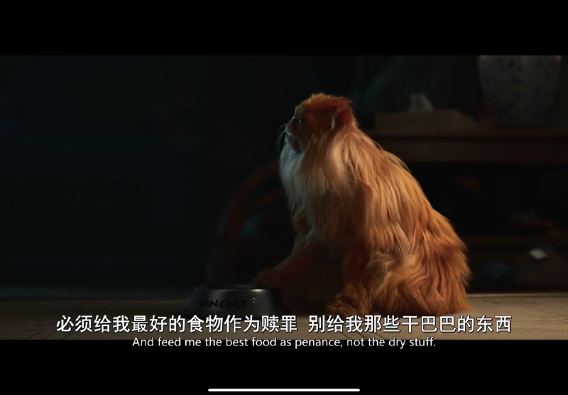 爱死机第四季第五集猫和机器人联合推翻人类统治了