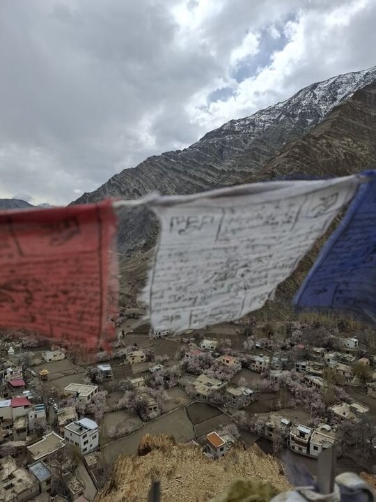 拉達克｜列城｜概念小指南｜走進遠方的春天裡