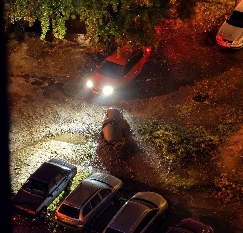 Image from a post by Sazonov / Official