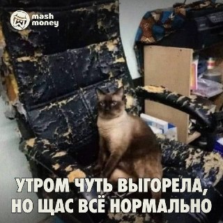 33% компаний объяснили увольнения токсичностью сотрудников. Хамы и газлайтеры обходятся в миллионы рублей.По данным Mash Money, 38% российских компаний ввели "антитоксичные меры". Это неудивительно — ущерб от офисного грубияна оценивается в 3–12 его месячн