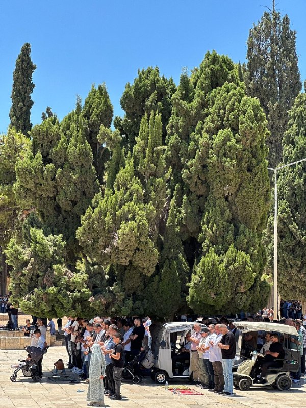 רשת חדשות ירושלים