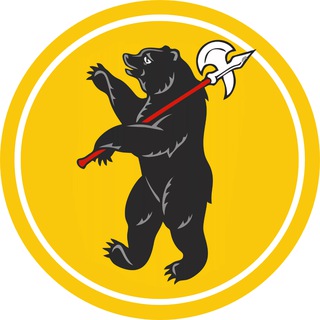 Telegram profile photo for Новости Ярославля и Области