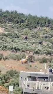 דחפורי כיבוש ממשיכים לחפור אדמות פלסטיניות בכפר זאבובה, ממערב לג'נין, לעקור עשרות עצי זית