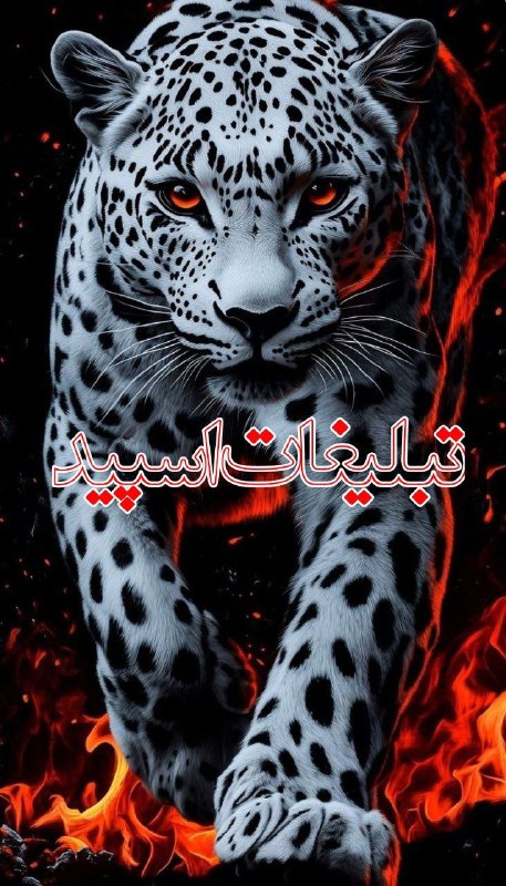 لینکدونی گروه چت بیرجند: ❶﹚ نام : 𝓥𝓘𝓟༇❧𝕋𝕖𝕙𝕣𝕒𝕟♕𝕂𝕒𝕣𝕒𝕛✌︎︎❷﹚ نو؏ تبلیغات : #telegram❸﹚ توضیحات :💪بزرگترین #𝓥𝓘𝓟☞︎𝔗𝔢𝔥𝔯𝔞𝔫✌︎︎𝔨𝔞𝔯𝔞𝔤☜︎🥂🌙𝐯𝐢𝐩🏃♂️ایران، 😍تهرا