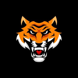 Binomo Bitcoin Signals Tips Telegram Group Link