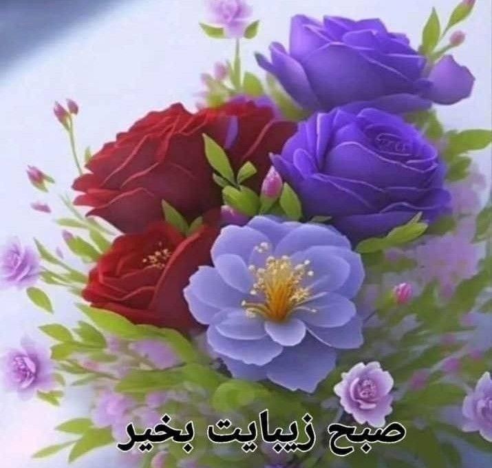 ▪️ کانال قزوینی ها ▪️: 🟣🌺🍃ســــلام 🟣🌺🍃صبح یکشنبه اول شهریور ماه زیبـاتون بخیر🟣🌺🍃امروزتون به طراوت گــل🟣🌺🍃دعا میکنم از همین لحظہ که 🟣🌺🍃دوباره بر