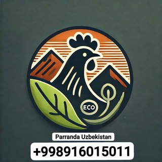 PARRANDA_bozor_tovuq_dakan_big